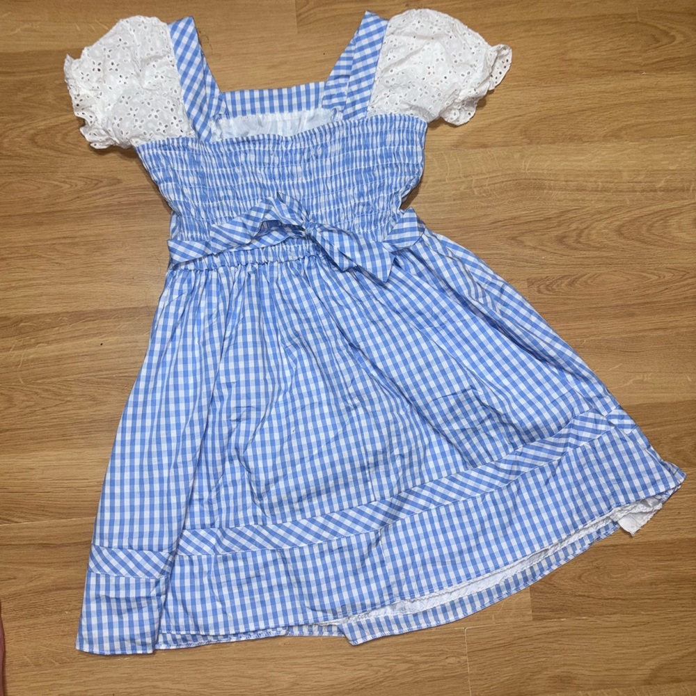 Women’s Wizard of Oz Dorothy Halloween Costume
